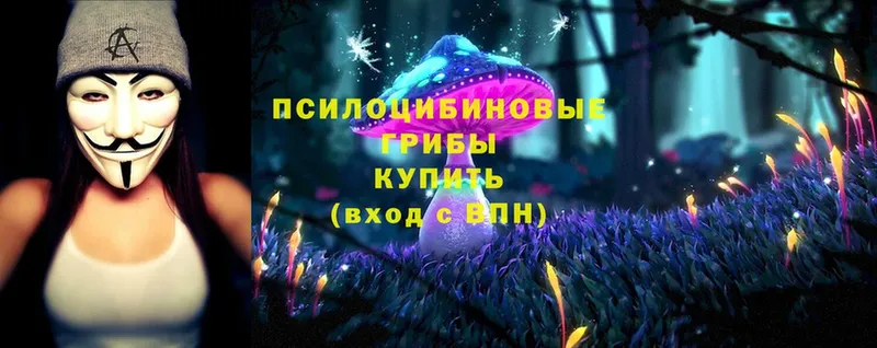 Галлюциногенные грибы MAGIC MUSHROOMS  Грязи 